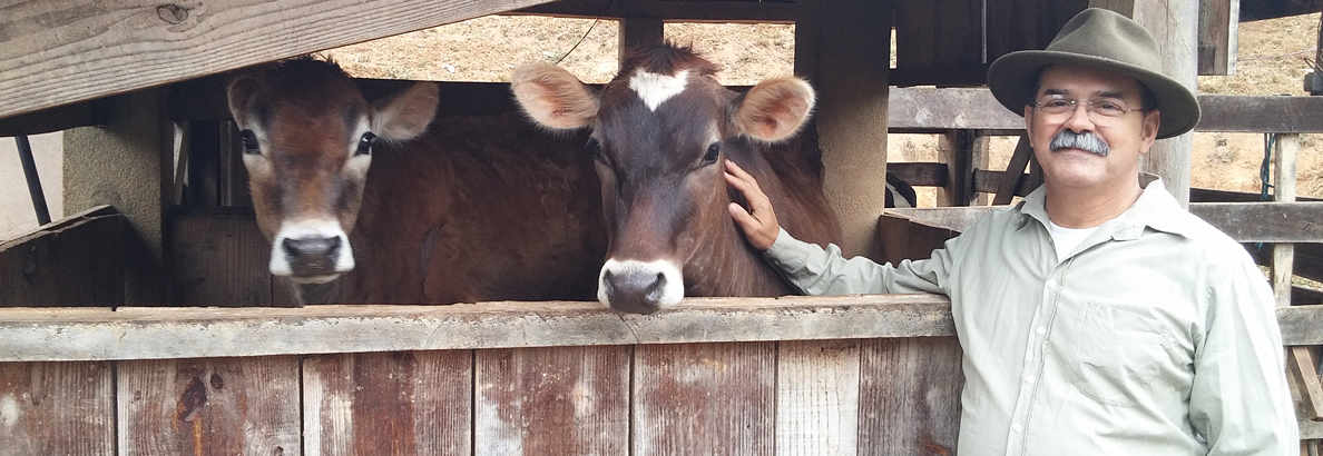 Ganado para leche